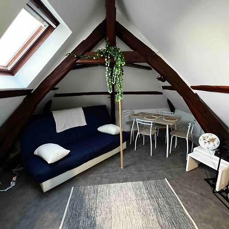 Appartement Tres Beau Studio Mansarde, Centre De Bourges Extérieur photo