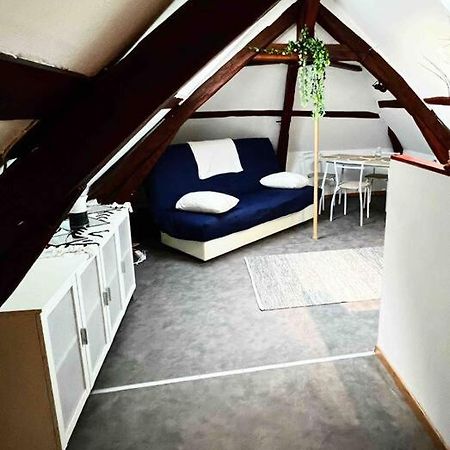 Appartement Tres Beau Studio Mansarde, Centre De Bourges Extérieur photo