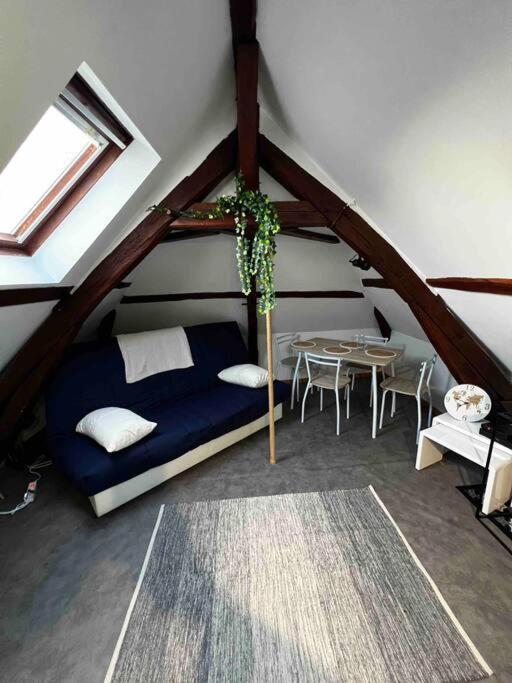 Appartement Tres Beau Studio Mansarde, Centre De Bourges Extérieur photo
