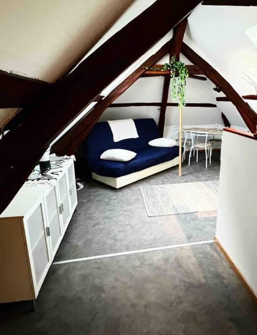 Appartement Tres Beau Studio Mansarde, Centre De Bourges Extérieur photo